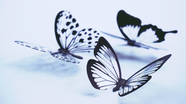 Featured Image